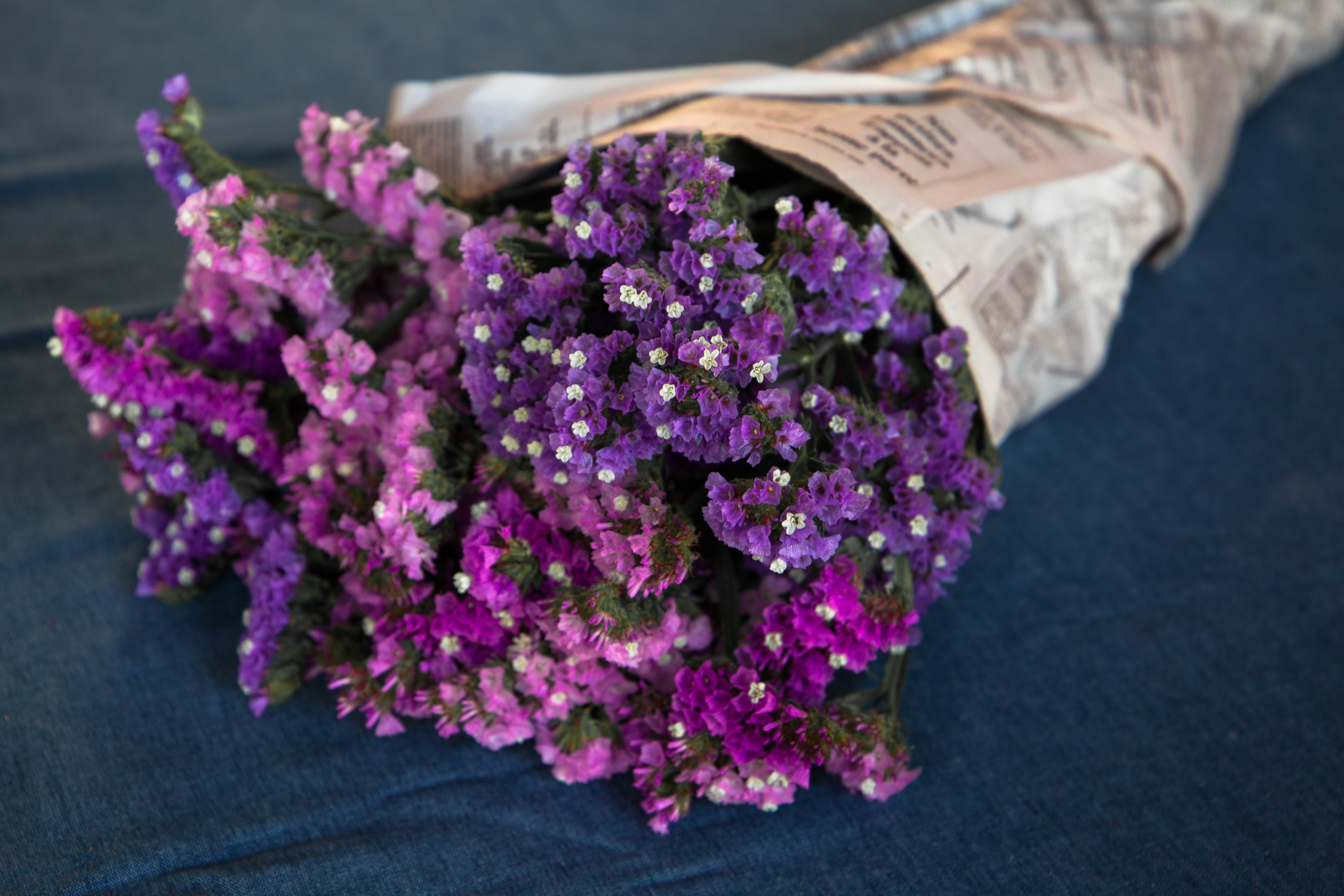 bouquet de fleurs séchées